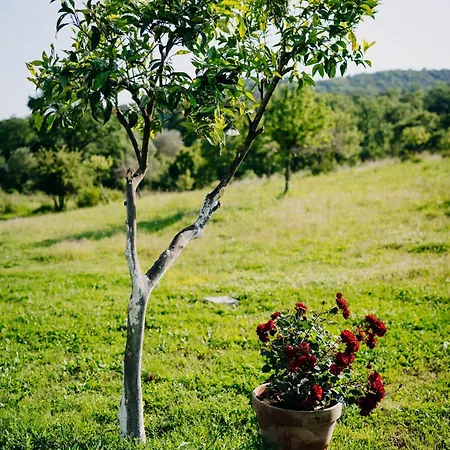 Tenuta Le Tre Rose Vibonati