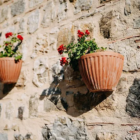 Bed & Breakfast Tenuta Le Tre Rose *