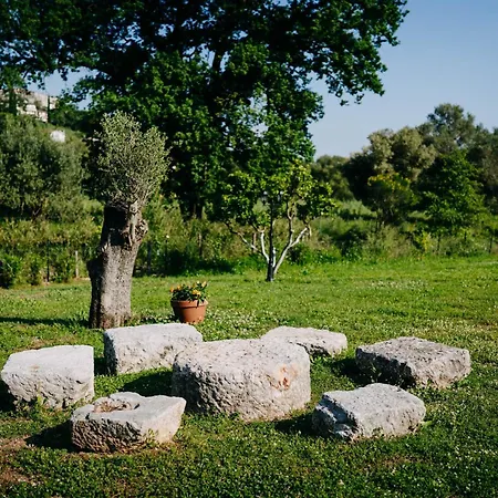 Bed & Breakfast Tenuta Le Tre Rose Vibonati