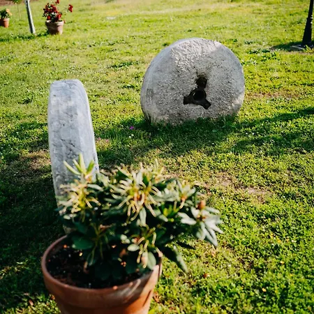 Tenuta Le Tre Rose