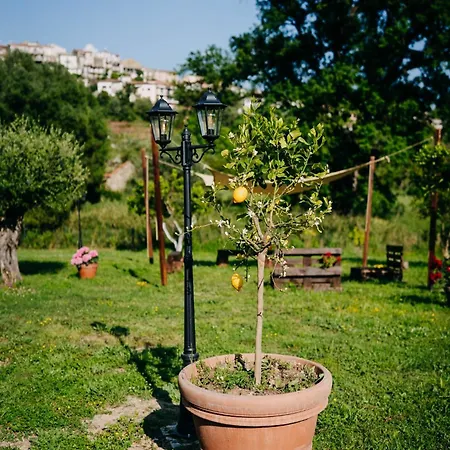 Bed & Breakfast Tenuta Le Tre Rose Vibonati