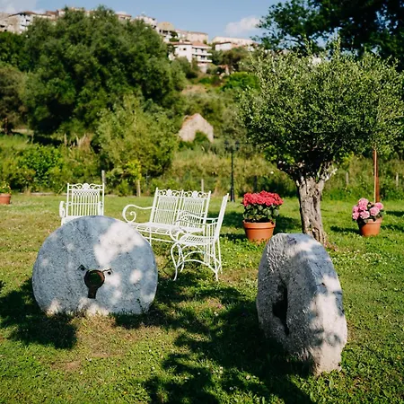 Tenuta Le Tre Rose Bed & Breakfast