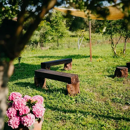 Bed & Breakfast Tenuta Le Tre Rose Vibonati