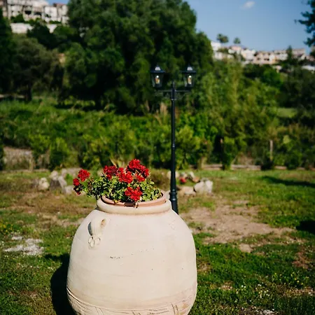 Bed & Breakfast Tenuta Le Tre Rose Vibonati