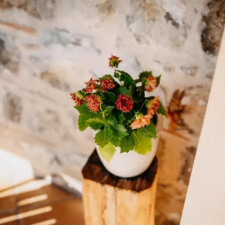 Tenuta Le Tre Rose Vibonati