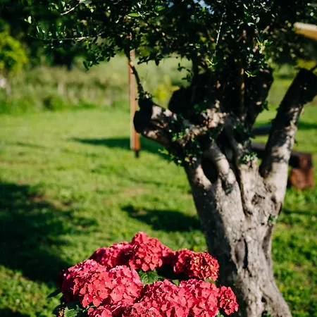 Bed & Breakfast Tenuta Le Tre Rose
