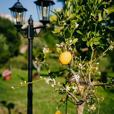 Bed & Breakfast Tenuta Le Tre Rose *